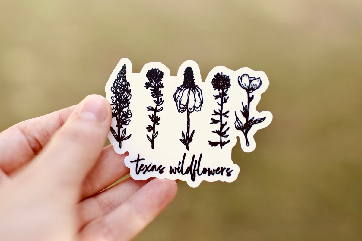 Texas Wildflower Sticker product photo